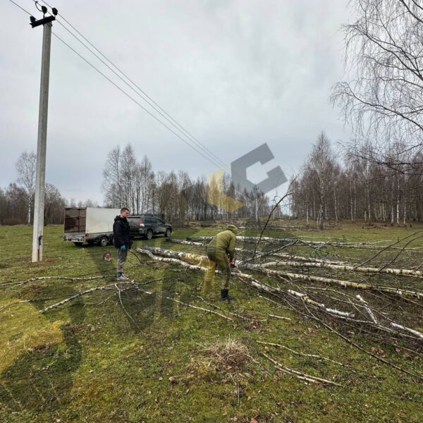 Вывоз порубочных остатков Смоленск