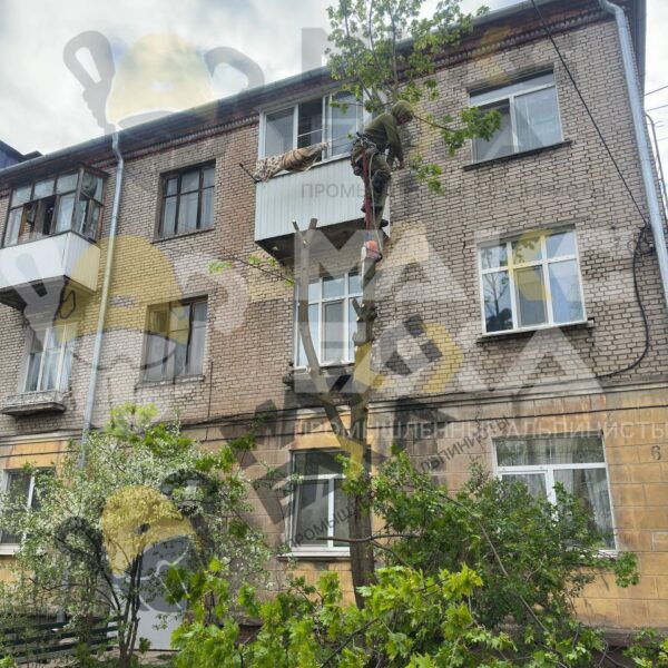 Спил аварийных деревьев в Смоленске