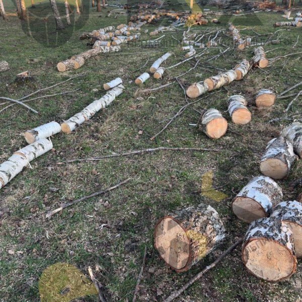 Распиловка на дрова Смоленск